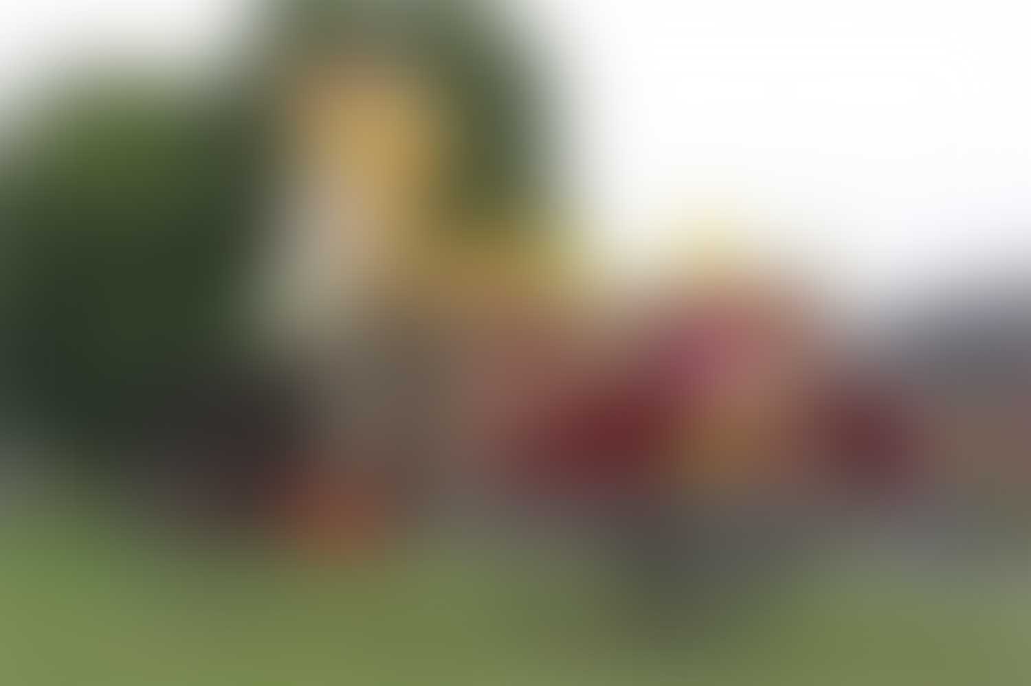 full screen background image